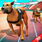 Crazy Dog Racing Koorts