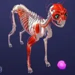 Create Pet God Mode