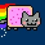 FNF: Kuriositäten im Internet