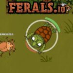 Ferals.io