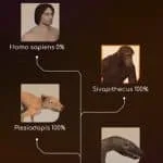 Evolução ociosa da célula ao humano