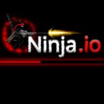 ninja.io