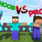 Noob vs Pro-uitdaging
