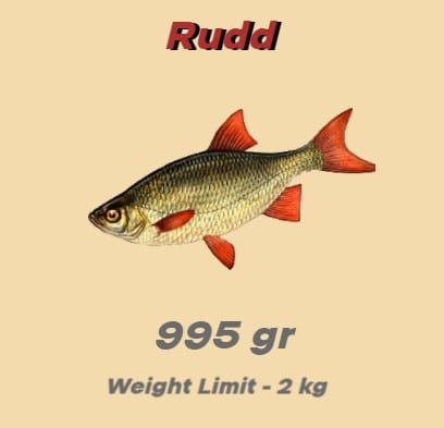 Real Fishing 🔥 Fishing Games - Play Online at Y9FreeGames.com