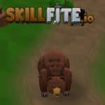 Skillfite.io