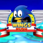 Sonic Dash: Wings Rush