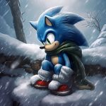 Sonic Poche Hiver